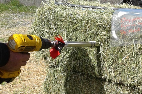 Forage testing